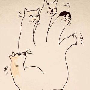 Meet your Posher, Jack